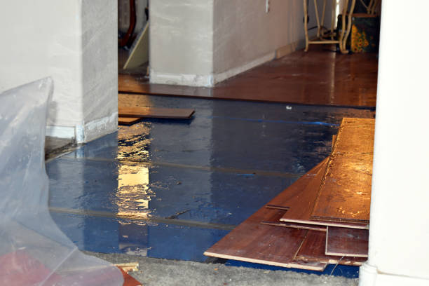 Professional Water Damage Restoration technician working in Hernshaw, WV
